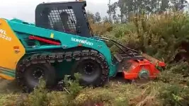 Cserje- és bozótírtás